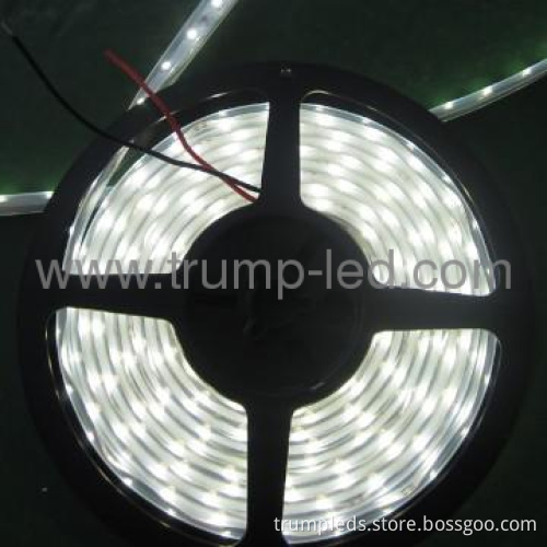 IP65 waterproof 240leds/M led strip smd 3528